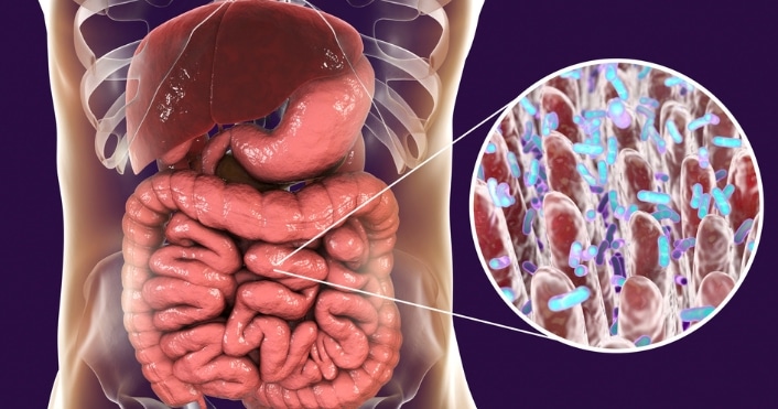 Señales de problemas digestivos y microbiota desequilibrada